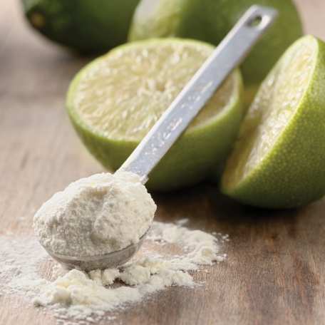 ผงมะนาว เกรดพรีเมี่ยม (Lime Powder)