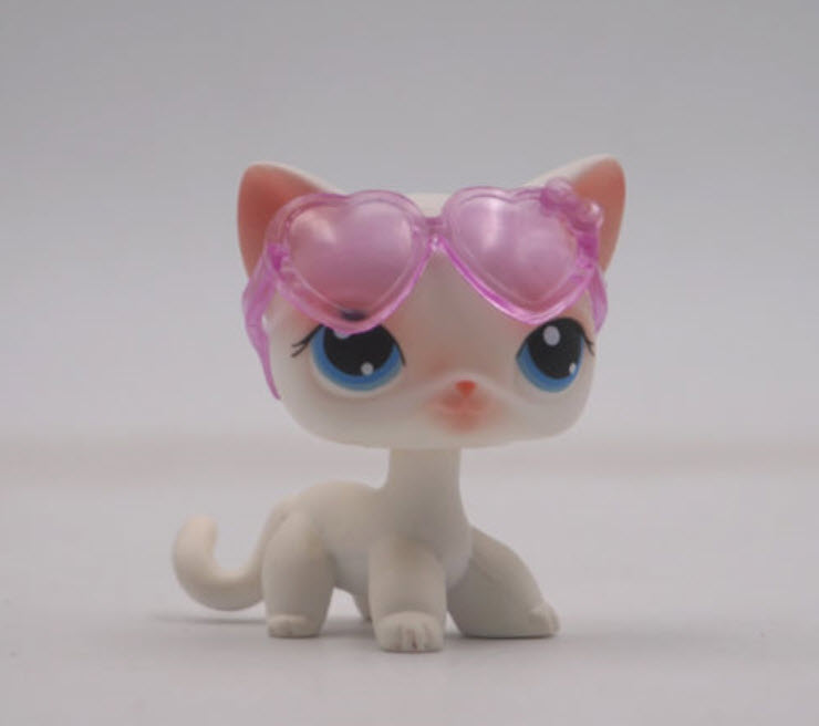 แมว Short Hair สีเทา ตาสีฟ้า #64 พร้อมแว่นตา