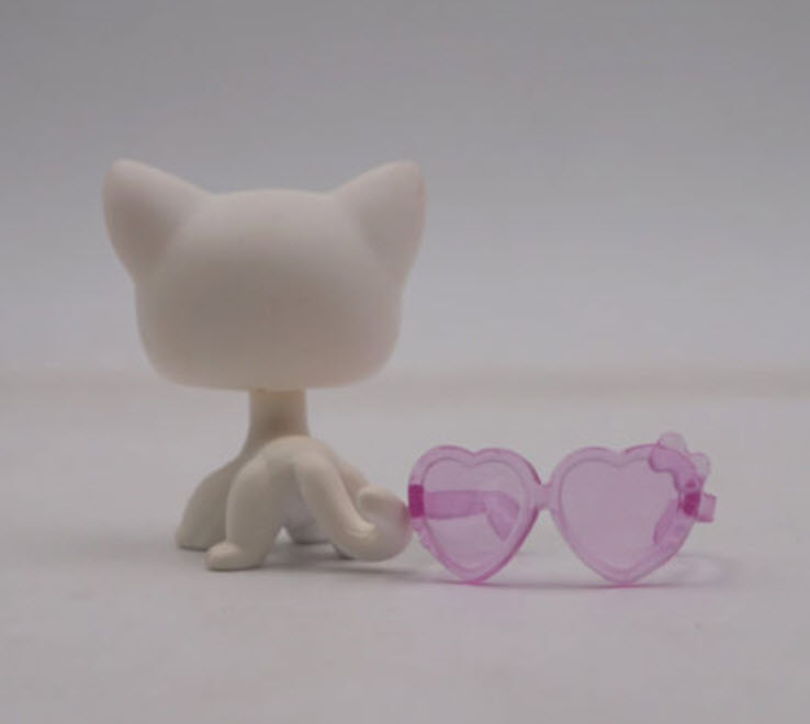 แมว Short Hair สีเทา ตาสีฟ้า #64 พร้อมแว่นตา