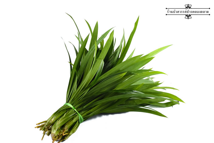 กลิ่นใบเตย ( Pandan Flavor )