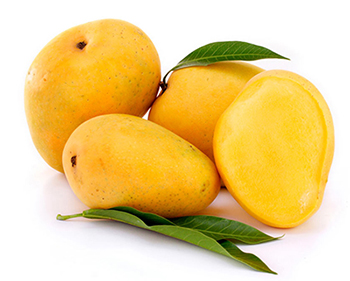 ผงกลิ่นมะม่วง (Mango Flavor Powder)