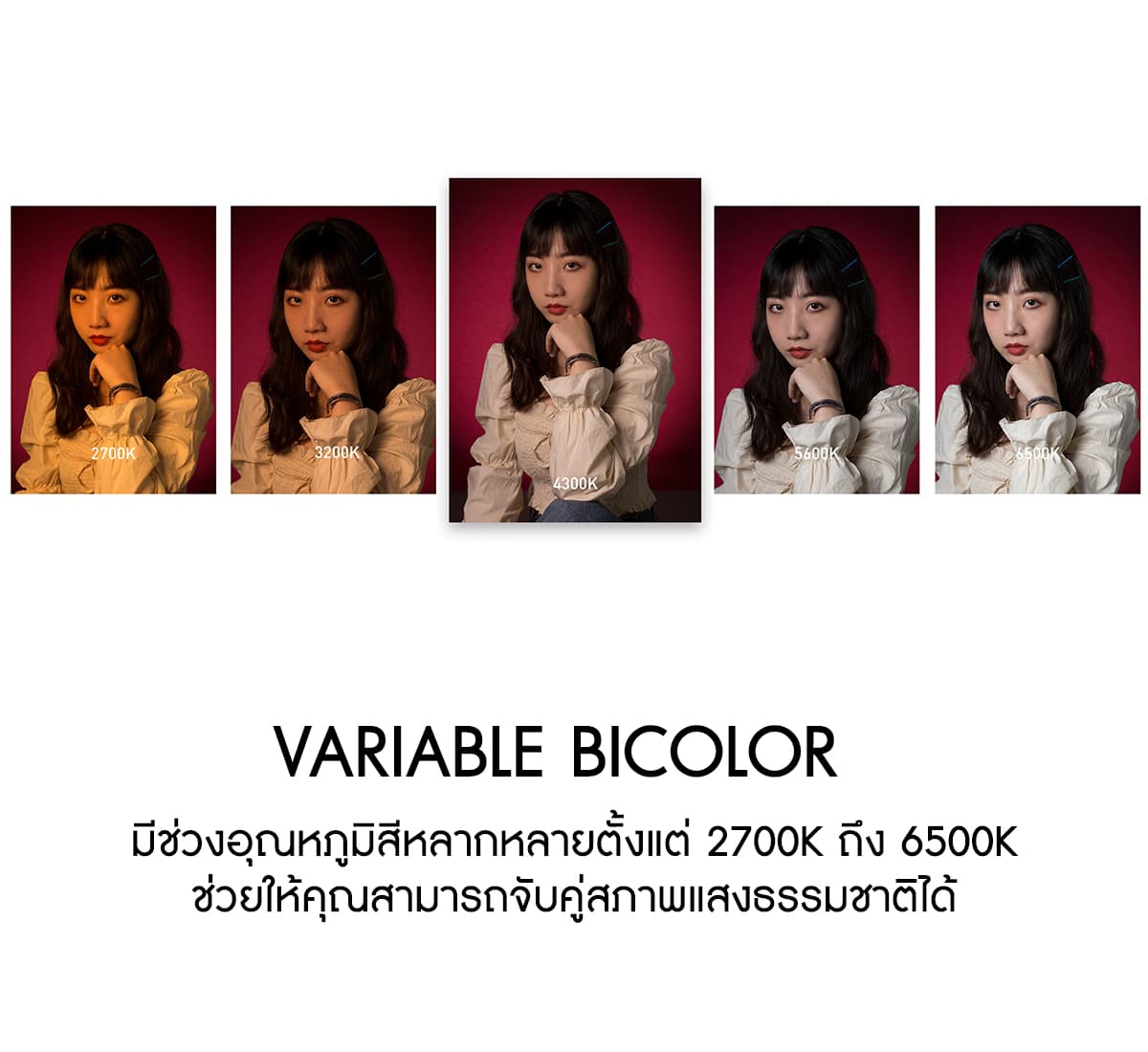 Nanlite Forza 60B Bi-Color LED Monolight ศูนย์ไทย