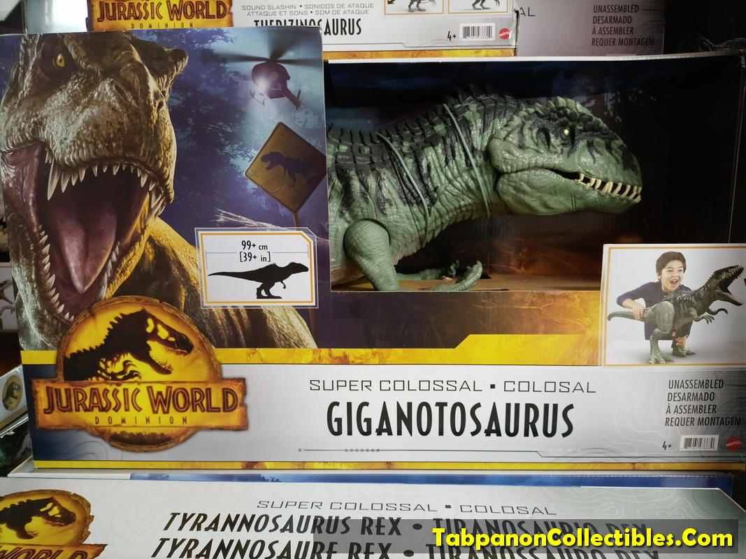 [2022.05] Mattel Jurassic World Toys Super Colossal Giganotosaurus Dinosaur (39inch/ 99cm+)