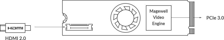 Magewell Eco Capture HDMI 4K Plus M.2 | Single channel 4Kp60 capture card สำเนา