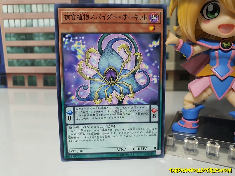 LVP3-JP075 (C) "Predaplant Spider Orchid"
