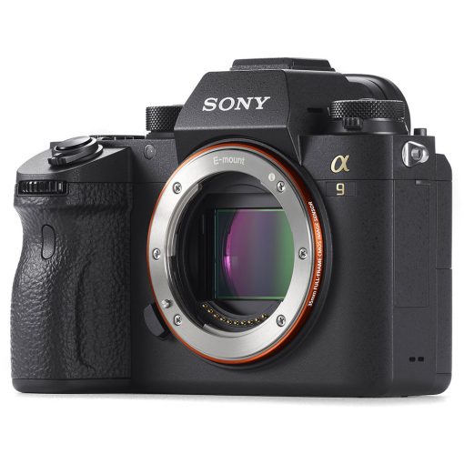 Sony a9 (Body)