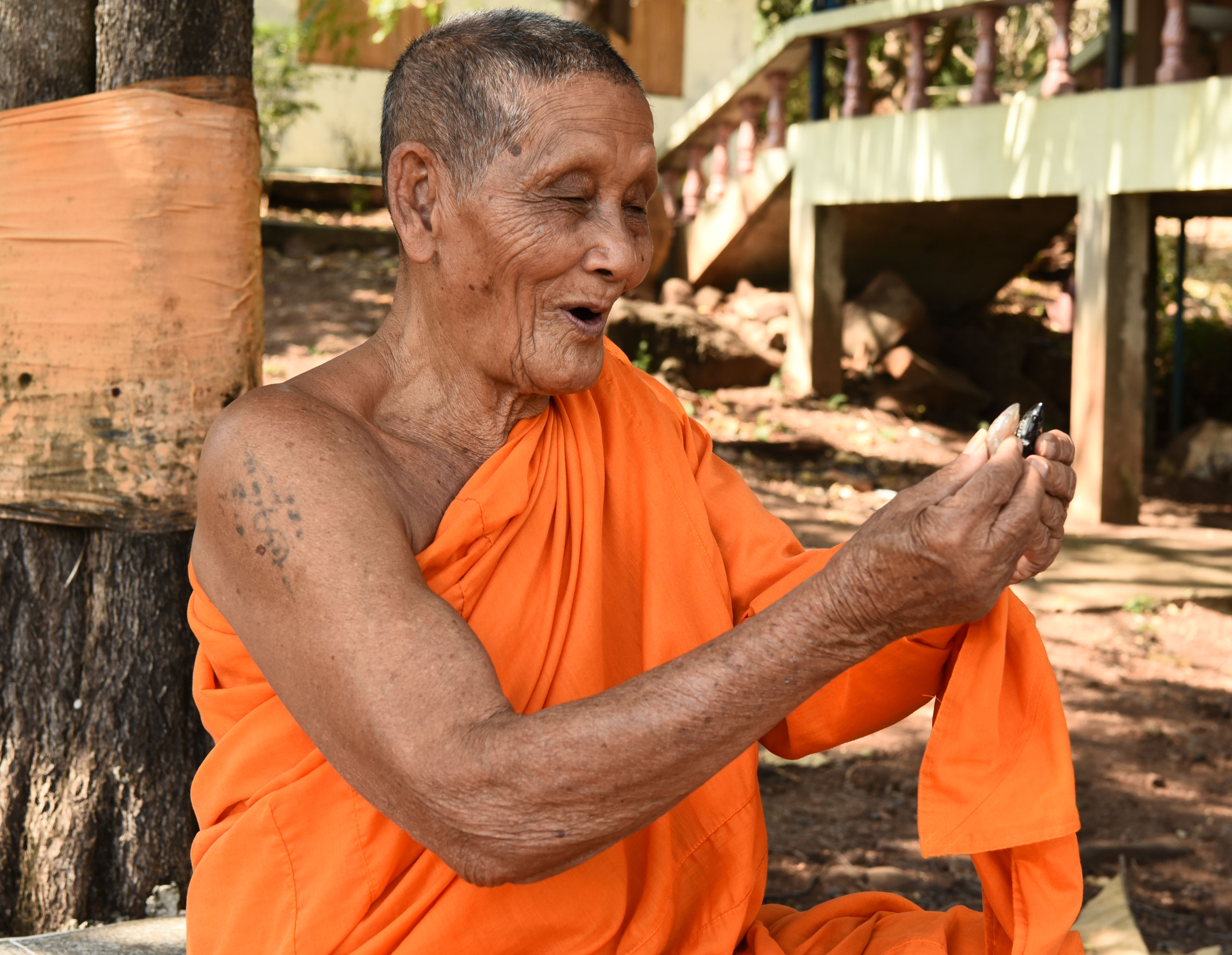 แมลงทับเรียกทัพย์ โคตรเศรษฐี เขาควายดำ หลวงปู่จันทร์ วัดซับน้อย เพชรบูรณ์