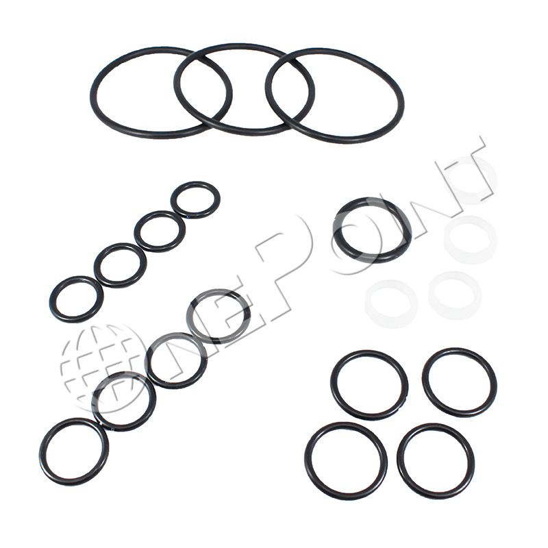 CV55005K O/H KIT, CONTROL VALVE Z5