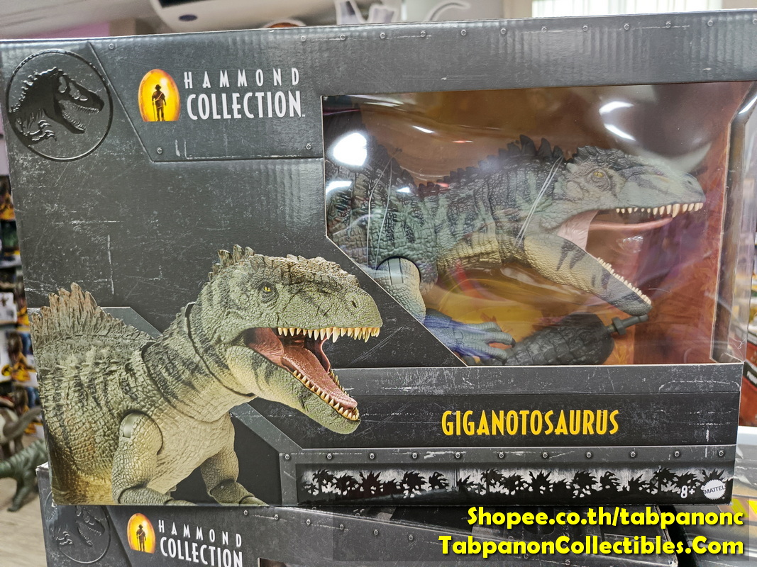 [2024.06] Mattel Jurassic World Hammond Collection Giganotosaurus Dinosaur Figure