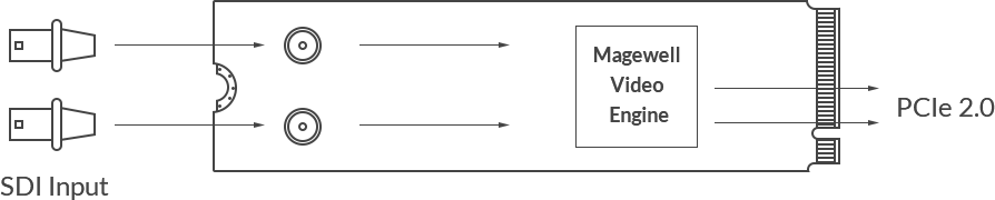 Magewell Eco Capture Dual SDI M.2 | Two-channel 2K capture card