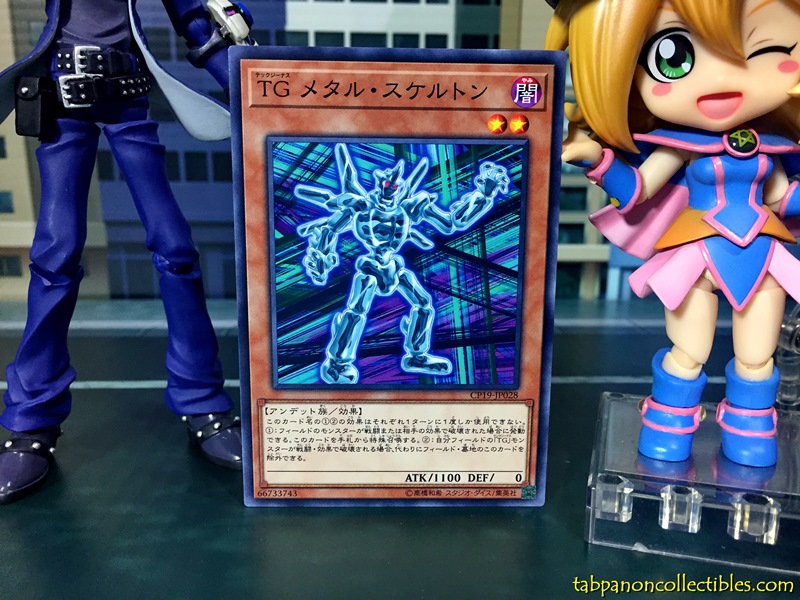CP19-JP028 T.G. Metal Skeleton