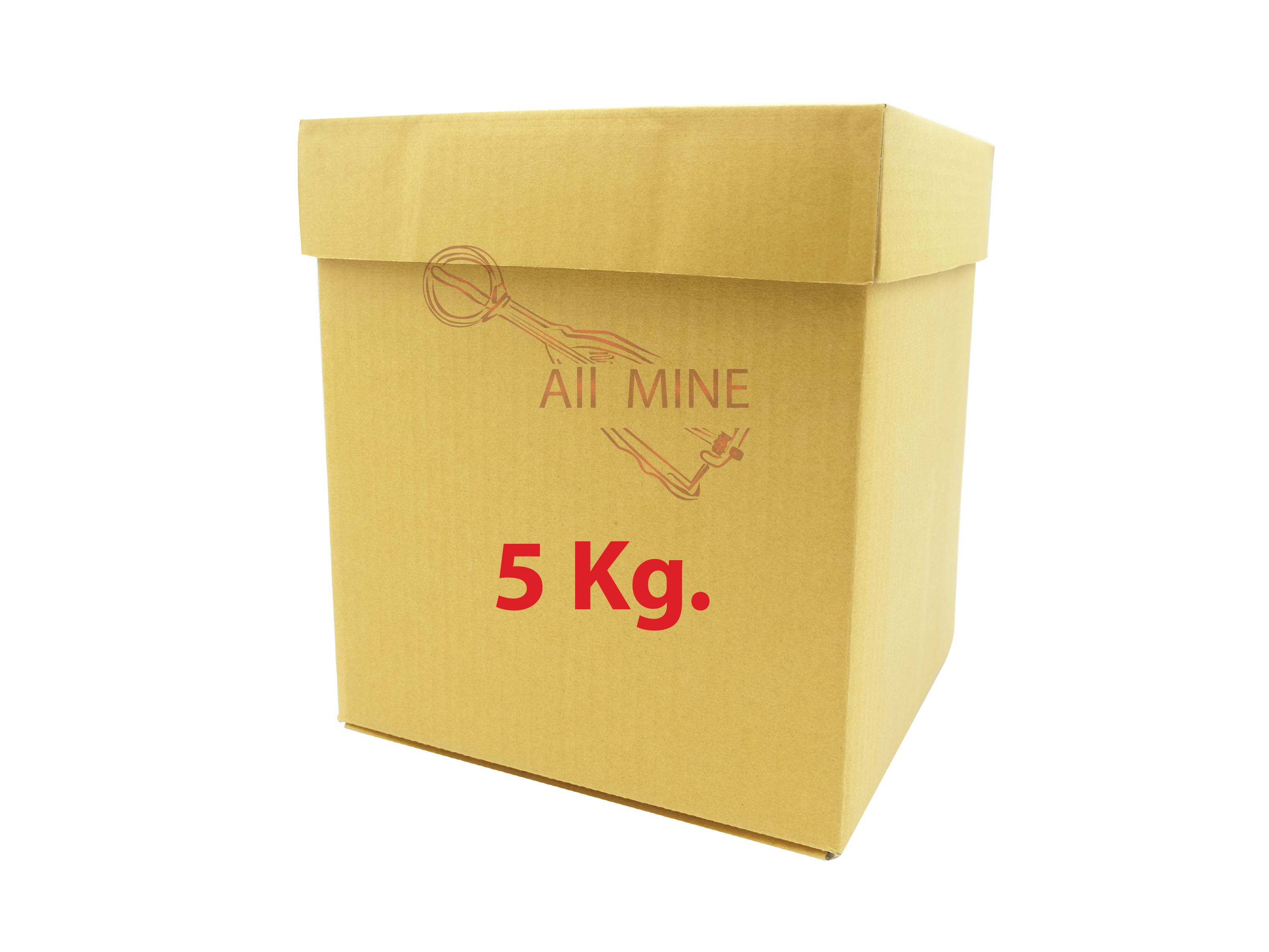 กล่องบรรจุไอศครีม (5-8 kg.)