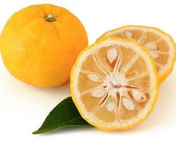กลิ่นส้มยูซุ (Yuzu Orange Flavor )