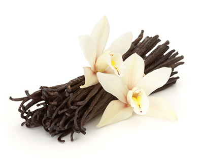 ผงกลิ่นวนิลา (Vanilla Flavor Powder)