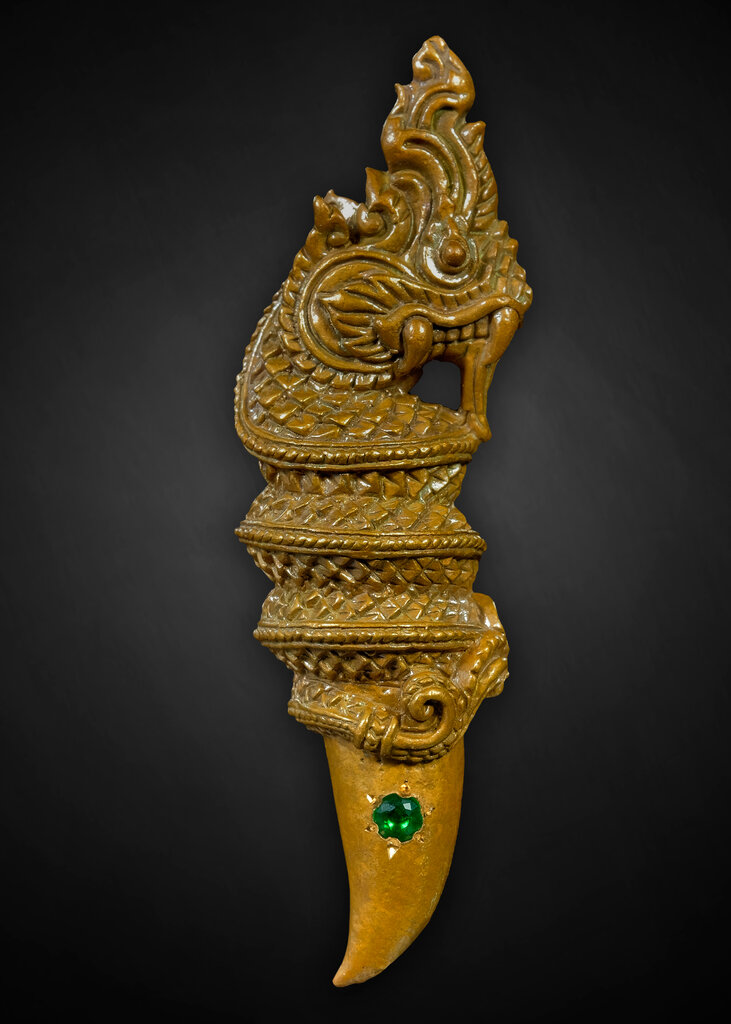 เขี้ยวพญานาค เพชรกลับ เนื้อตะปูสังขวานร หลวงปู่จันทร์ วัดซับน้อย