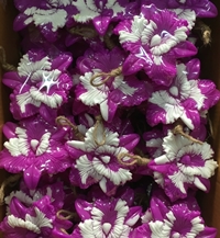 Soap สบู่สปา