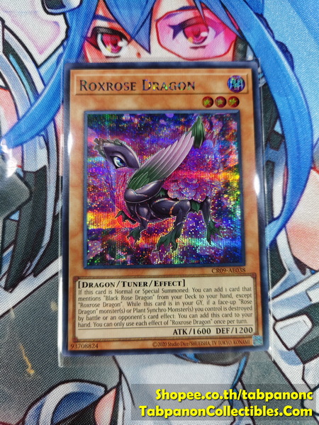 CR09-AE038 Roxrose Dragon - SCR