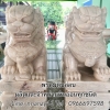 สิงห์หินอ่อน30ซม