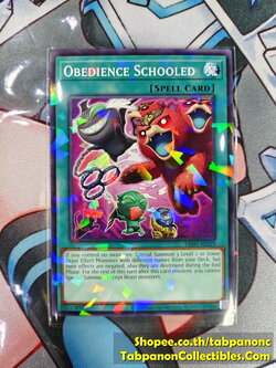 DBJH-AE029 Obedience Schooled - NPR