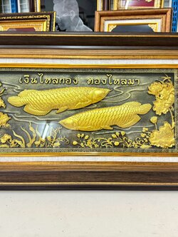 รูปหล่อเรซิ่น ภาพปลามังกรมงคล "เงินไหลกอง ทองไหลมา" พร้อมกรอบไม้เรียบสีเข้ม ขนาด 13.5*23 นิ้ว ของขวัญ ของขวัญมงคล ของขวัญปีใหม่ ของที่ระลึกมอบผู้ใหญ่ ของขวัญเปิดร้าน ของเเต่งบ้านมงคล ของขวัญขึ้นบ้านใหม่ โอกาสสำคัญต่าง ๆ เสริมสิริมงคล