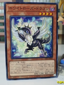 LVP3-JP044 (C) "White Rose Dragon"