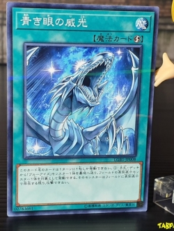 LGB1-JP008 (NPR) "Majesty with Eyes of Blue"