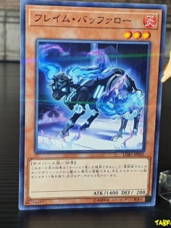 LGB1-JP043 (NPR) "Flame Bufferlo"