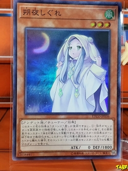 ETCO-JP036 (SR) "Evening Crescent & Autumn Shower"