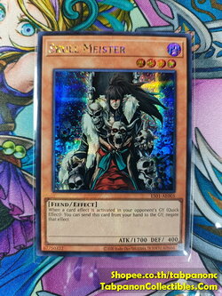 ES01-AE005 "Skull Meister"