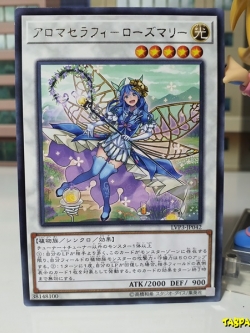 LVP3-JP042 (R) "Aromaseraphy Rosemary"