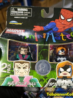 Minimates Marvel TRU Ecxclusive Molecule Man And Spider-Woman 2-Pack