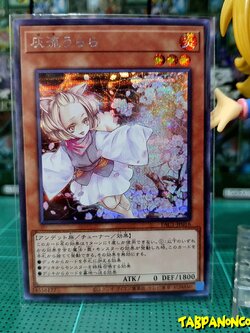 PAC1-JP016 "Ash Blossom & Joyous Spring"