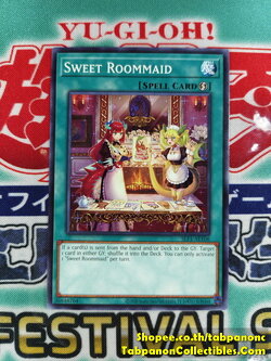 SLF1-AE106 Sweet Roommaid