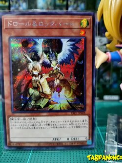 PAC1-JP026 Droll & Lock Bird