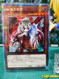 PAC1-JP014 "Ghost Ogre & Snow Rabbit"