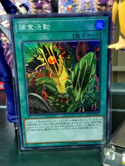 DP22-JP047 Predapractice (Super Rare)