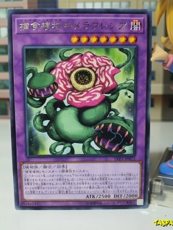 LVP3-JP072 (R) "Predaplant Chimerafflesia"