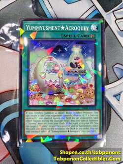 DBJH-AE024 Yummyusment Acroquey - NPR