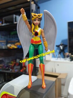[2018.07] Mattel DC Super Hero Girl Hawkgirl 6-Inch Basic Figure (Used)