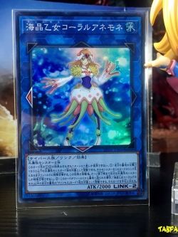 LVDS-JPB06 (SR) "Marincess Coral Anemone"