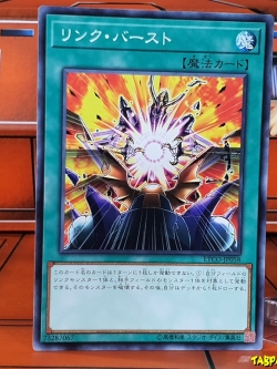 ETCO-JP058 (C) "Link Burst"