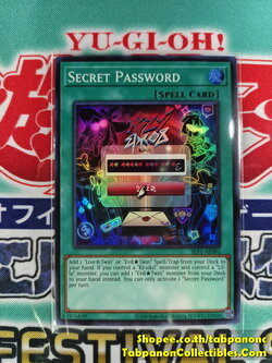 SLF1-AE091 Secret Password ( N / SR )