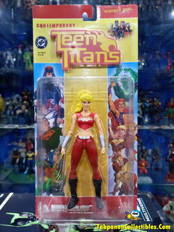 [2004.09] DC Direct Teen Titans Series 1 Wonder Girl: Cassandra Sandsmark