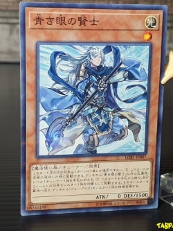 LGB1-JP007 (NPR) "Sage with Eyes of Blue"