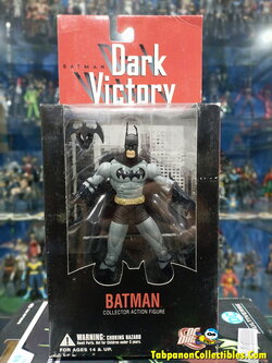 [2006.11] DC Direct Batman Dark Victory Series 1 Batman