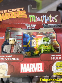 Minimates Marvel TRU Exclusive Wave 21 Wastelands Wolverine and Distopia Hulk 2-Pack
