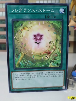 LVP3-JP045 (C) "Fragrance Storm"