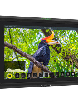 Atomos Shinobi 5.2" 4K HDMI Monitor