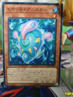 IGAS-JP005 Hiyari @Ignister