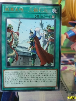 IGAS-JP055 Senka History – Three Visit (Rare)